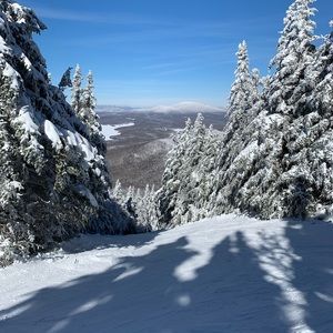 Meet your Posher, Adrianna